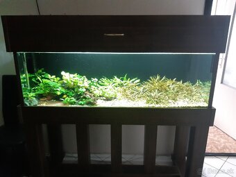 Akvarium 375 litrov - 3