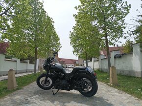 Harley Davidson Street Bob 107 Clubstyle - 3