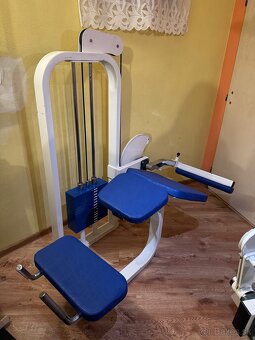 ZNÍŽENÁ CENA - rozpredám fitness - 3