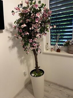 Umely strom magnolia - 3