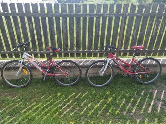 Dievčensky bicykel - 3