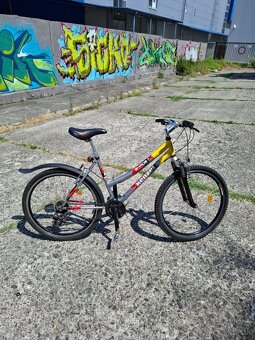 Dámsky bicykel - 3