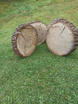 Ponúkame 4 kúsky dubové kalače v hrúbke 10cm, šírka 40cm - 3