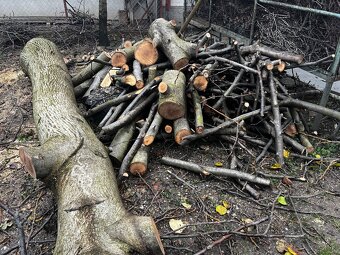 Predam orechove drevo - 3