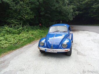 Volksvagen chrobak - 3