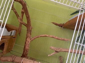 Klietka pre osmáka degu - 3