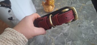 Novy kozeny mohutny obojok - 3