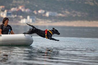 ŠTĚŇATA FLAT COATED RETRIEVER - CHS YnnaBBlack - 3