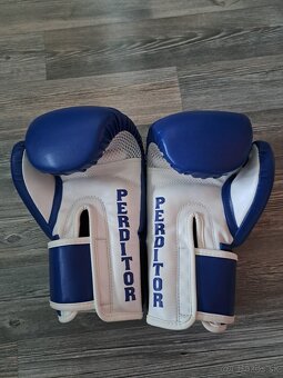 Boxerské rukavice PERDITOR - 3