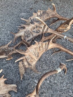 Parohy,zhody,trofeje - 3