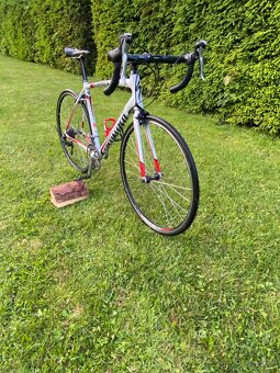 Predam Specialized - 3