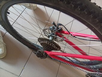 Specialized Crosstrial 2020 - 3