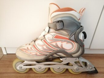 FILA 39 - 3