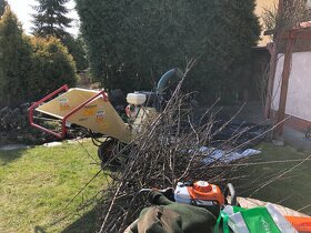 Orez stromov – odborný rez, starostlivosť o trávniky, úprav - 3