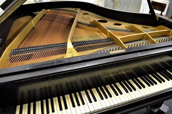 Klavír AUGUST FÖRSTER + židlička. - 3