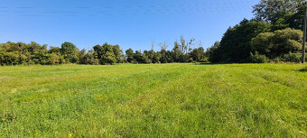 Predaj: pozemok v obci Svinica, Košice - okolie, 19.375m2 - 3