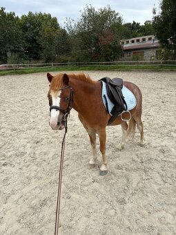 Pony pre princeznú - 3