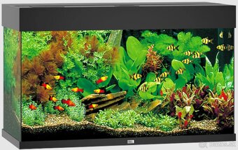 Akváriový set Juwel Rio Led 125 + CO2 set - 3