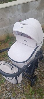 Predam kočiar Atteso - 3