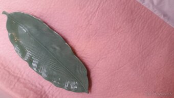 Porcelánový tanier - 3