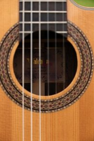 Klasická gitara Valencia CG 50 CE + nové púzdro - 3
