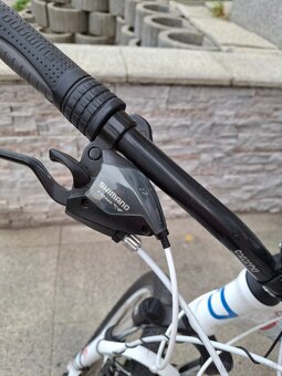 detský bicykel DEMA PEGAS3.0 - 3