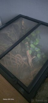 Terarium - 3