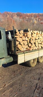 Palivove drevo buk - 3