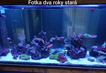 Morské akvárium - 700l - 3