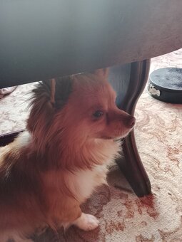 ib432844@gmail.com - 3