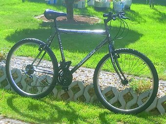 Bike - 3