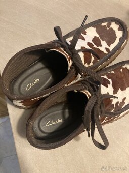 Clarks Cow - 3