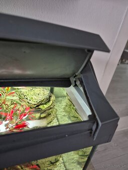 Predam akvarium Tetra - 3
