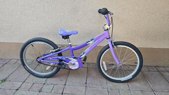 SPECIALIZED 20 - 3
