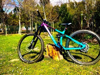 Qayron Carma MKII EN Q 29" - 3