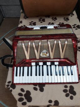 Harmonika Delicia - 3