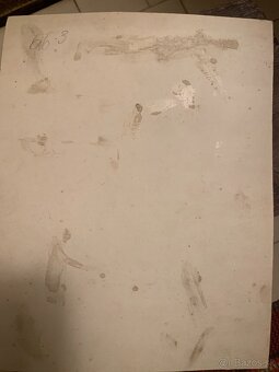 Adolf Petríček - 3