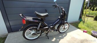 Manet korado - 3