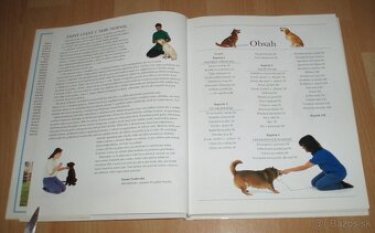 Výchova a výcvik psa - 3