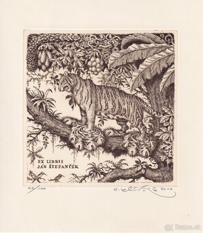 predam grafiky od Peter Klucik 4 - 3