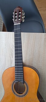 Gitara - 3