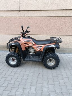 DINLI DL902 450cc - 3