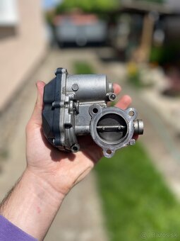 Egr - 3