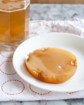 Predam čajovú hubu kombucha + nálev pre prípravu kombuchy - 3