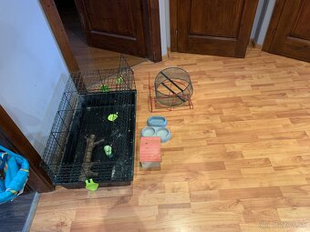 klietka pre hlodavce - 3