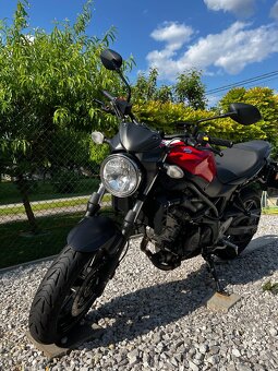 Suzuki sv 650 - 3