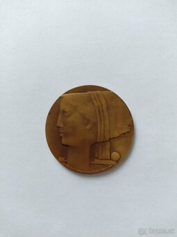 Bronzová pamätná medaila - 3