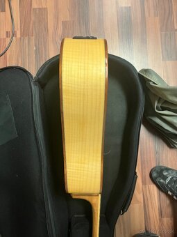 Akustická gitara Pasadena - 3