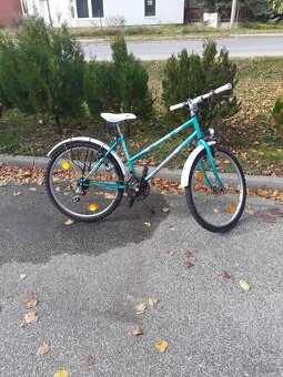 Dámsky bicykel carraro 440 - 3