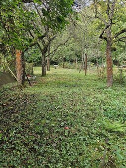 Záhrada  - Cinobaňa časť K.Huta ID 2255 - 3